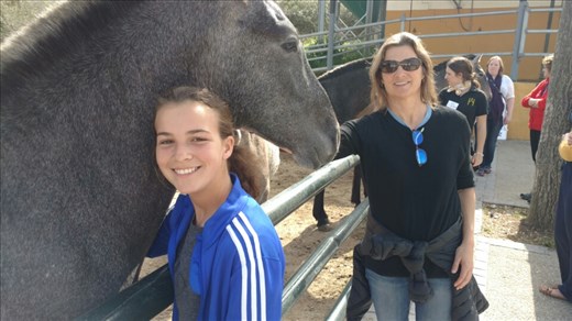 Maya, Beth and the yearlings