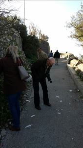 The monkeys do just jump on people...like this guy: by jakemoffat, Views[211]