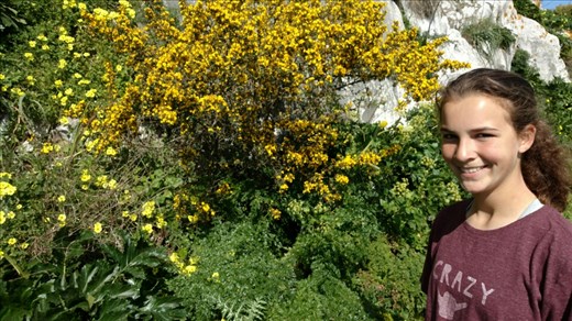 Flower photo for Bonnie...the spring wildflowers were in full bloom