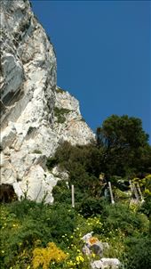 The rock is pretty rocky: by jakemoffat, Views[248]