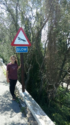 Hmmm...not sure I am buying it.