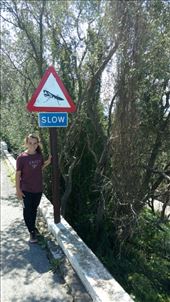 Hmmm...not sure I am buying it.: by jakemoffat, Views[627]