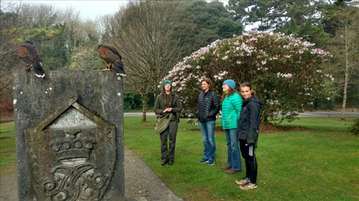 Hawks, walks, and rocks...all in one picture!