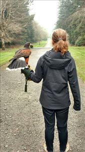 Maya's favorite photo with a hawk: by jakemoffat, Views[662]