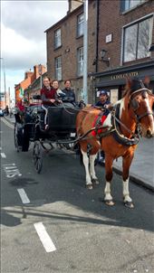 Spirited Georgie: by jakemoffat, Views[750]