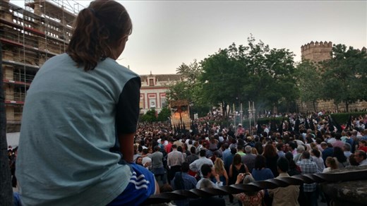 Maya watching from atop a pillar in the Plaza del Triunfo