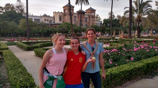 The first rose bloom in the Maria Luisa park