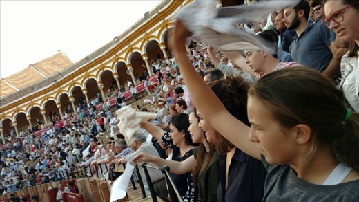 Waving the white flag is not a sign of surrender in the bull ring