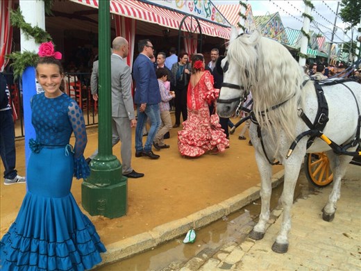 Maya trying to outdo the horse