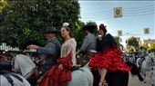 A classic Feria form of transportation: by jakemoffat, Views[553]