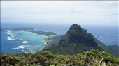 Lord Howe Island is a place of natural wonders...: by jakesjournal, Views[257]