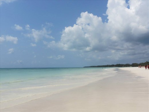 Zanzibar seaside