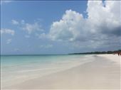 Zanzibar seaside: by jambobwana, Views[224]