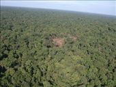 Aerial view of Jungle Camp: by jambopablo, Views[376]