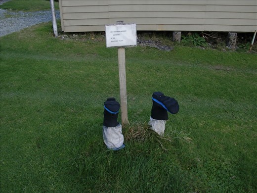 Self Explanatory. Place I stayed in Milford.