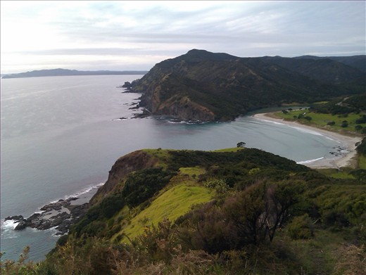 View of my favourite Northland Camping Spot, Taputaputa Bay, Cape Reinga