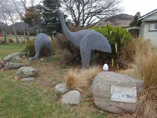 Moa Time, they still exist in the back country of Otago.