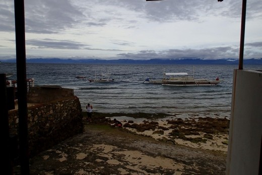 Moalboal, Cebu. Diving with turtles, pygmy sea horse and a variety of corals & fish.