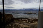 Moalboal, Cebu. Diving with turtles, pygmy sea horse and a variety of corals & fish.: by jambopablo, Views[431]