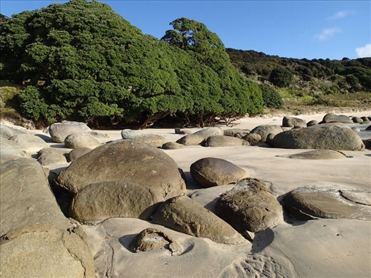 Matai Bay, Northland. One of my favourite places.