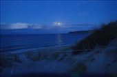 Moon Rising over the bay at Tawharanui Regional Park.: by jambopablo, Views[275]