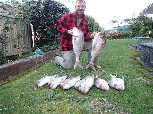 Houhora Fishing Charter was a success. Smoked, fried, mornay, nothing went to waste & many happy neighbours.