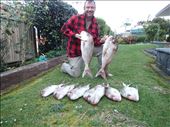 Houhora Fishing Charter was a success. Smoked, fried, mornay, nothing went to waste & many happy neighbours.: by jambopablo, Views[353]