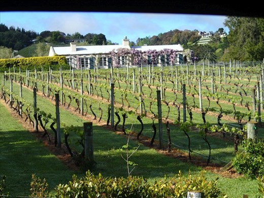 Classic Havelock North Winery