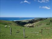 Another classic New Zealand Coastline shot.: by jambopablo, Views[248]