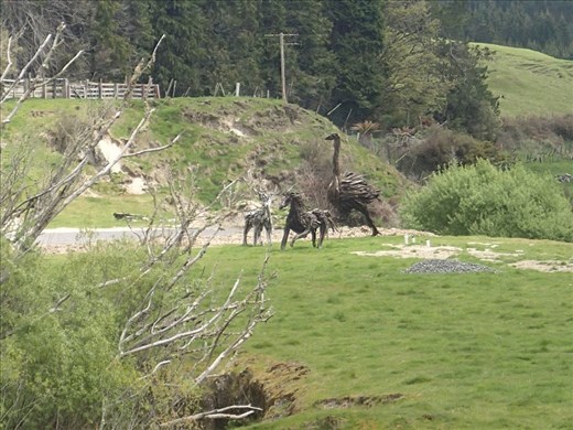 Driftwood animals I came across along SH4, Raurimu, King Country, North Island