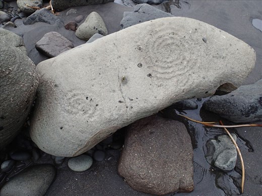 Found this walking along a Taranaki Beach, no idea of it;s significance but pretty cool.
