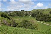 Found a backroad from Kawhia to Raglan, roughest gravel road I've driven for a while but some interesting rock formations.: by jambopablo, Views[613]