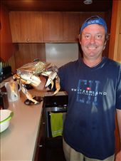 by jambopablo, Views[178]