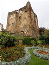 by jambopablo, Views[203]