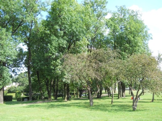 On the top of Petrin Hill