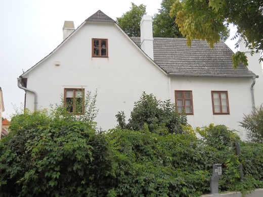 Grinzing Neighborhood - Nearby the Vienna Woods DSCN1554