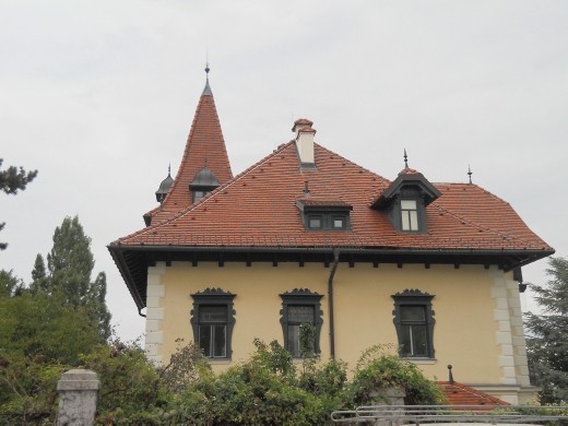 Grinzing Neighborhood Near the Vienna Woods DSCN1534