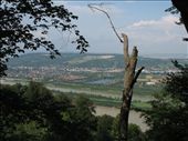Views of Vienna from Leopoldsberg - Author Doris Antony, Berlin: by james_tesol_teacher, Views[532]