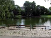 Stadtpark - Author Werckmeister: by james_tesol_teacher, Views[247]