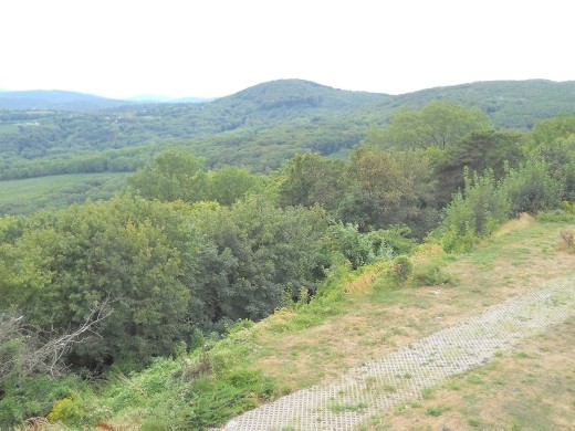 Walking Near the Vienna Woods DSCN1498