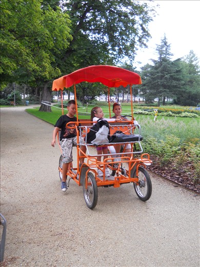 At play on Margaret Island