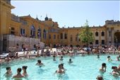 Széchenyi Baths (Széchenyi Fürdő) - Author Christine Zenino from Chicago, US: by james_tesol_teacher, Views[646]