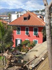 Looking down from the hill in Bordighera, Italy: by james_tesol_teacher, Views[142]
