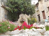 Lovely flora nesteld in a narrow lane in Eze Le Village: by james_tesol_teacher, Views[264]