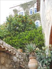 Eze Le Village: by james_tesol_teacher, Views[197]