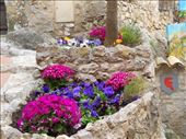 Mini garden in Eze Le Village: by james_tesol_teacher, Views[175]