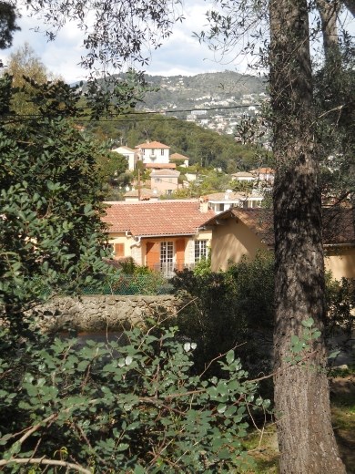 Views from Mont Boron in Nice