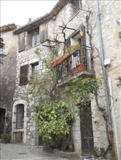 Balcony and garden in St. Paul de Vence: by james_tesol_teacher, Views[113]