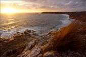 As the sun set, I raced through scrub and down cliffs to find a vantage point. The golden cliffs and retreating waves was an unforgettable view.  : by james_trezise, Views[336]