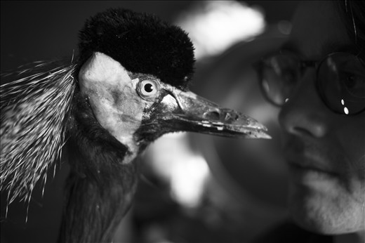 'Who is watching who ?'